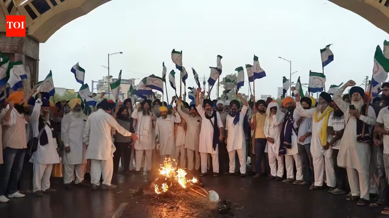 Punjab on Strike Alert: How Farmer and ADWPD Solidarity Has Paralyzed Commerce, Impacting Daily Life