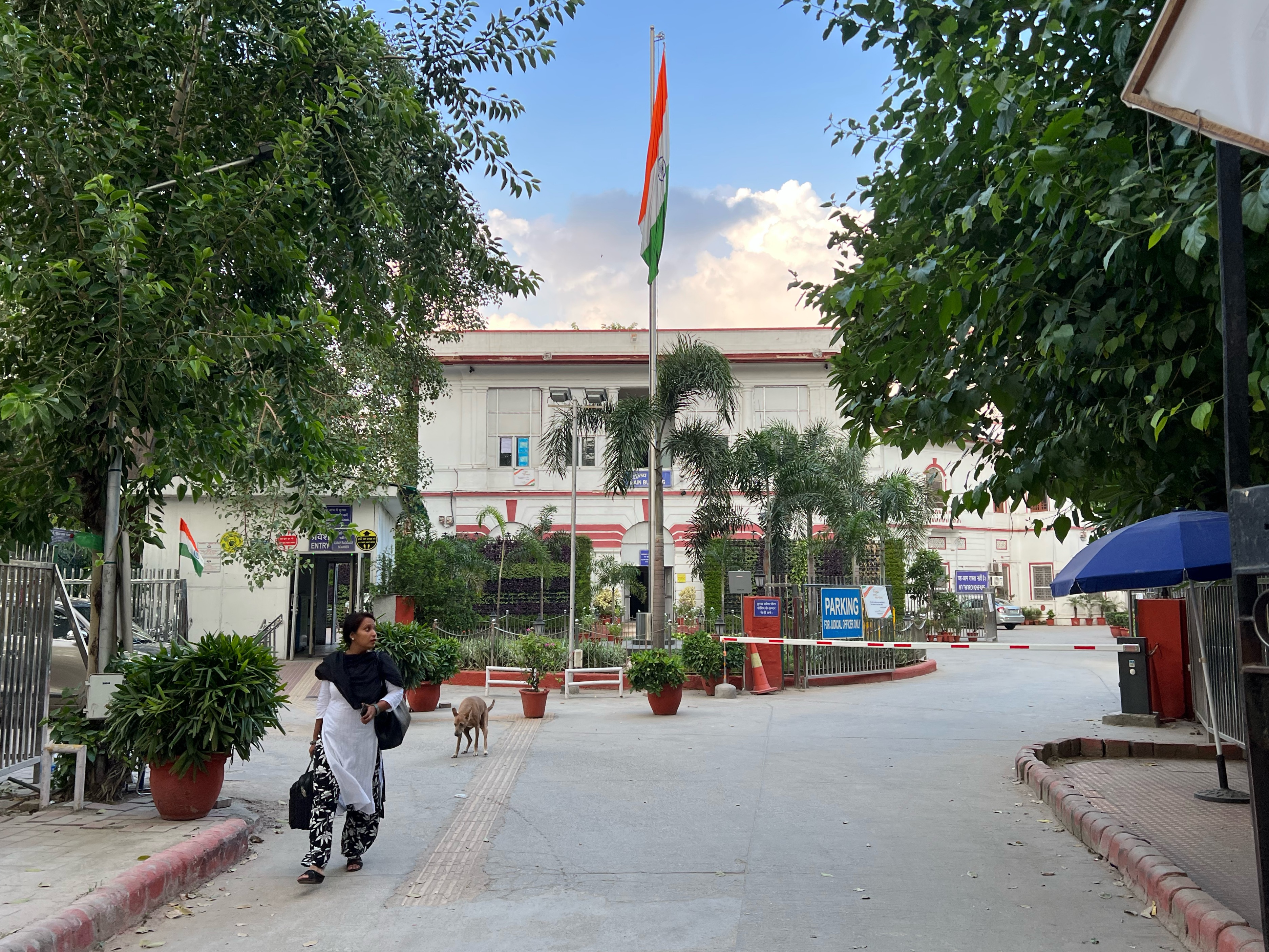 पटियाला हाउस कोर्ट में जमानत का मुद्दा: सौरभ दास और आशुतोष रांका के केस की गहन पड़ताल
