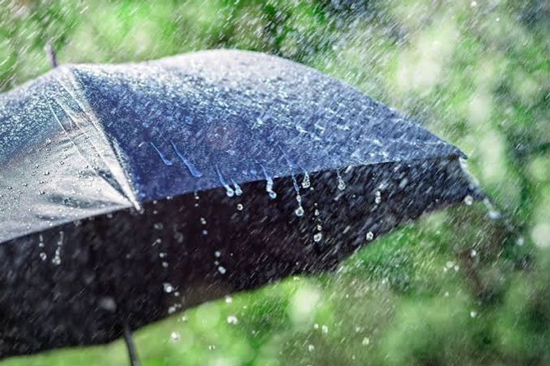 Weather Advisory for Punjab: Flood Risk Heightens as Rain Alert Issued; Residents Urged to Exercise Extreme Caution