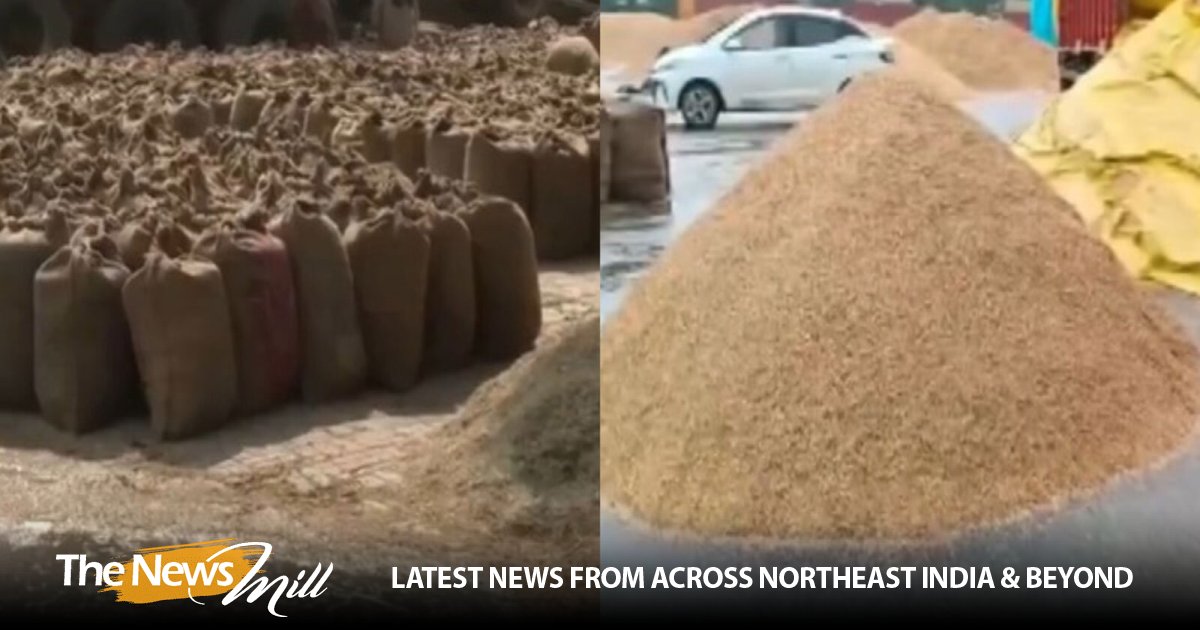 Heavy Rains Damage Stored Grain at Amritsar and Narela Mandis