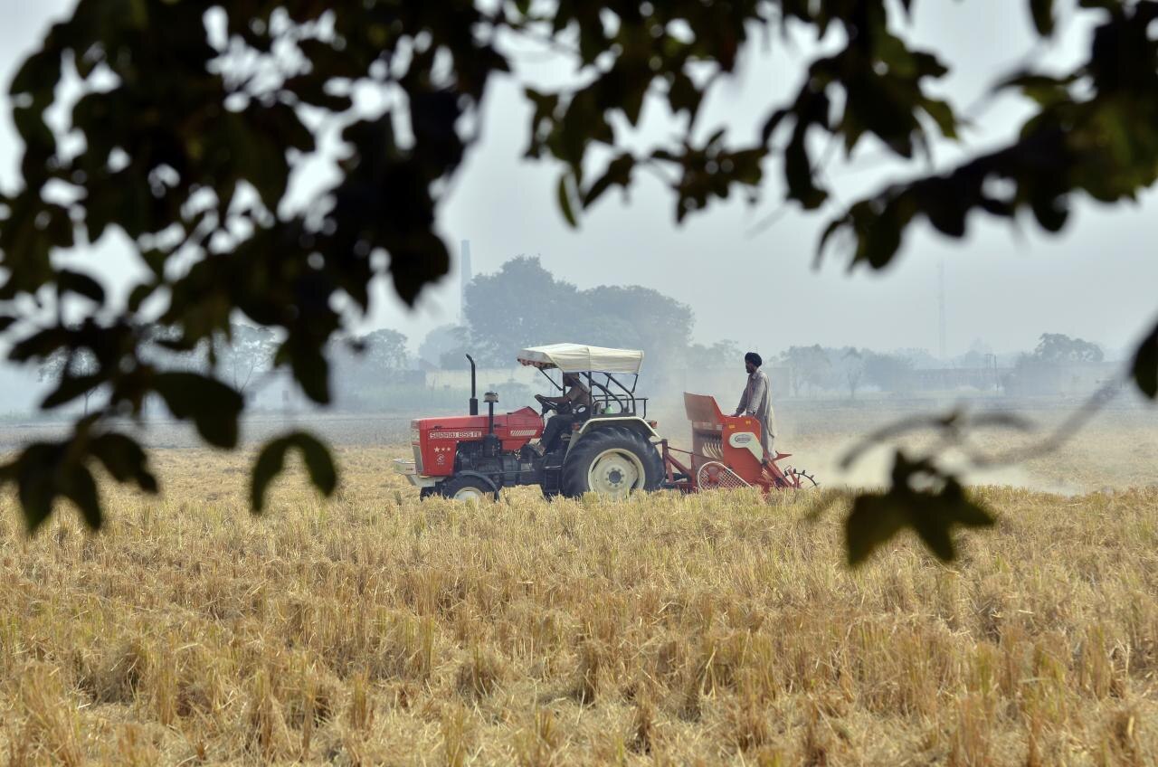 The Monsoon's Grip: Heavy Rains Threaten Paddy Harvest and Punjab's Agriculture